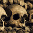 Paris Catacombs Tour